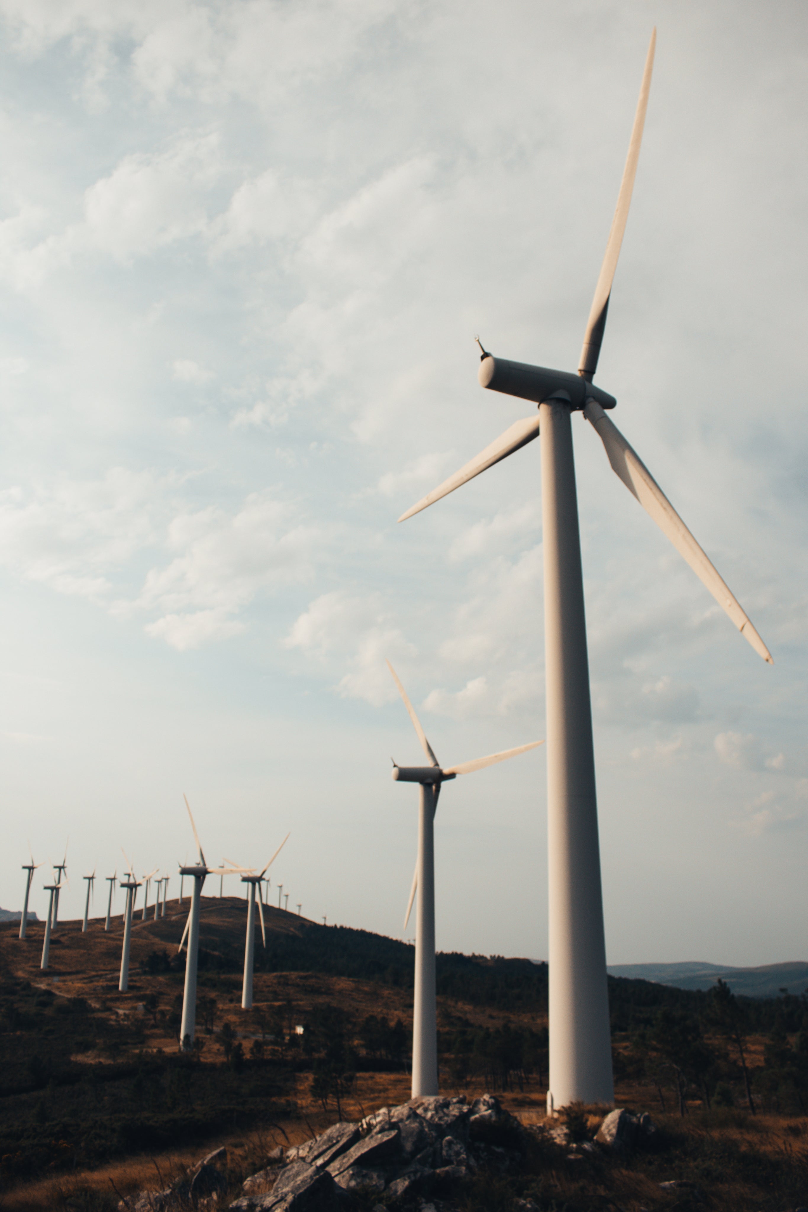 Wind farm